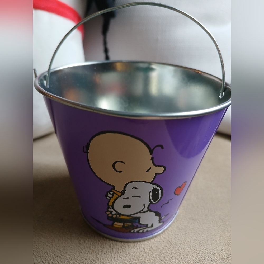 Mini Peanuts Snoopy Charlie Brown Tin Bucket